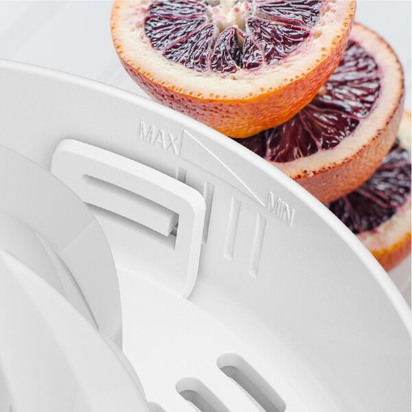 File:CJ650W-T Image3.jpg