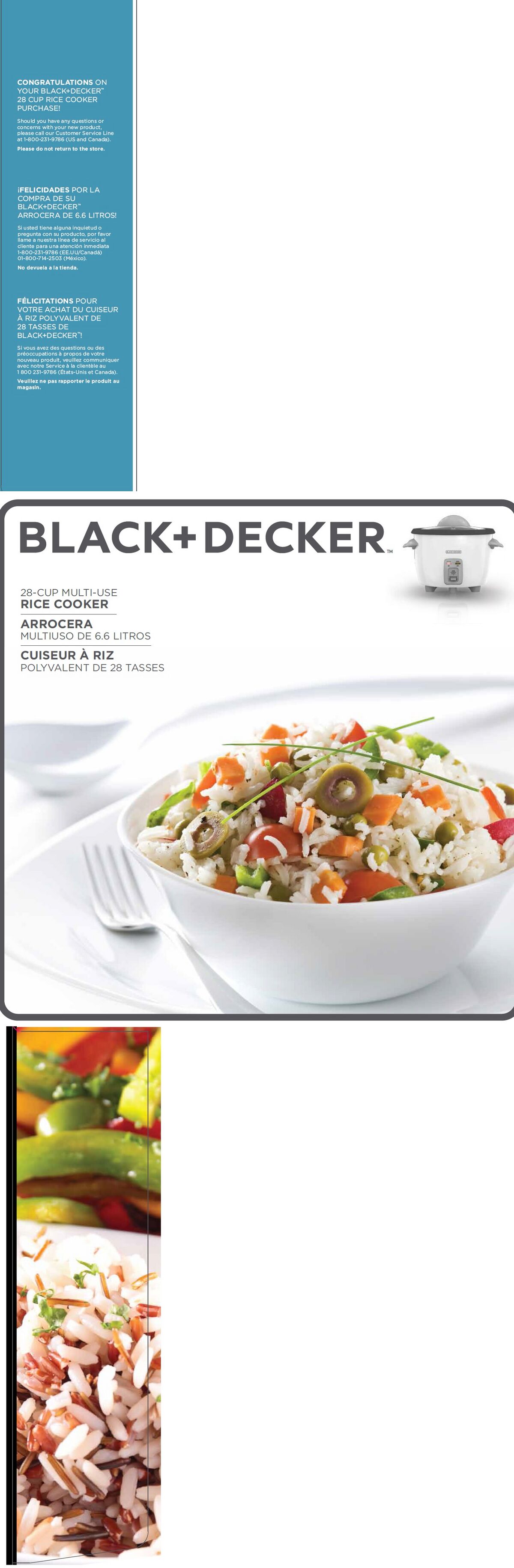 RC5428 (2015) Top.jpg